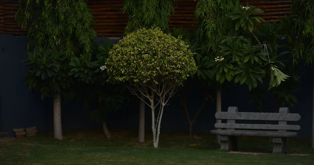 El Corte Ingles - Jardineria por mas de 150 euros