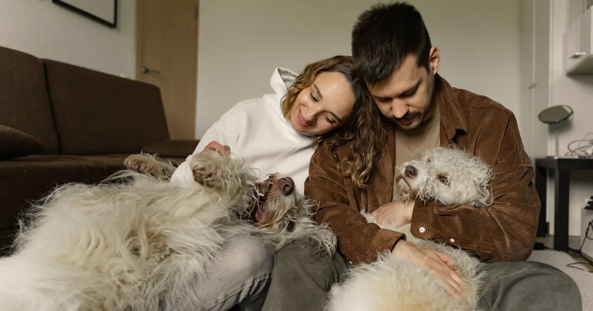 El Corte Ingles vs Vinted - Mascotas