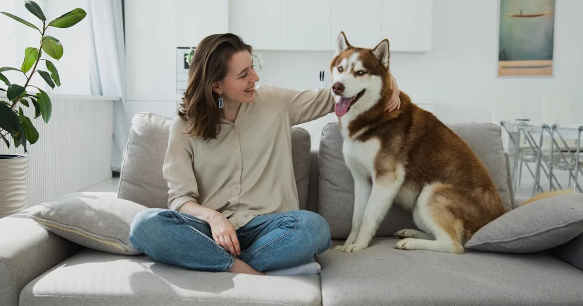 Etsy - Comprar Mascotas