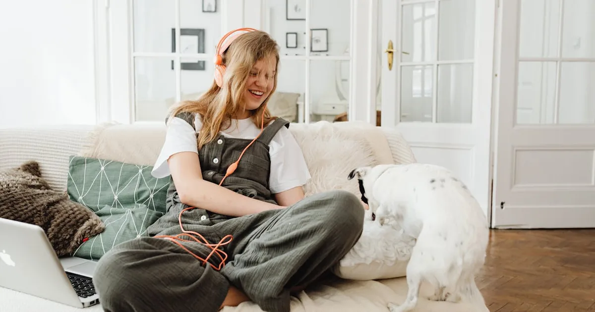 Shein - Mascotas por mas de 150 euros